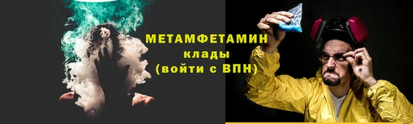 шишки Осинники