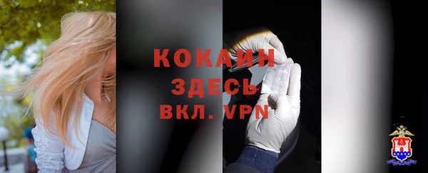 шишки Остров