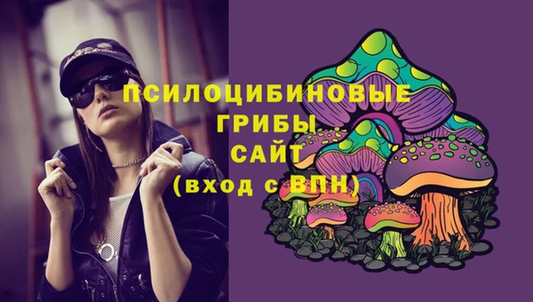 герыч Абинск