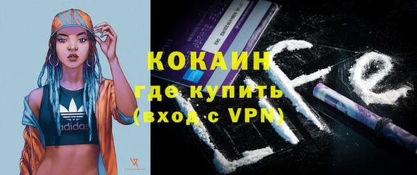 шишки Осинники