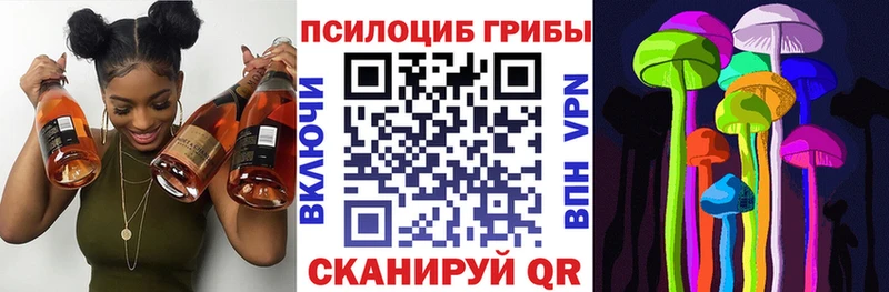 Псилоцибиновые грибы Magic Shrooms  сколько стоит  Нерчинск 